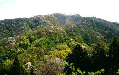 加治川地域の生育マップ